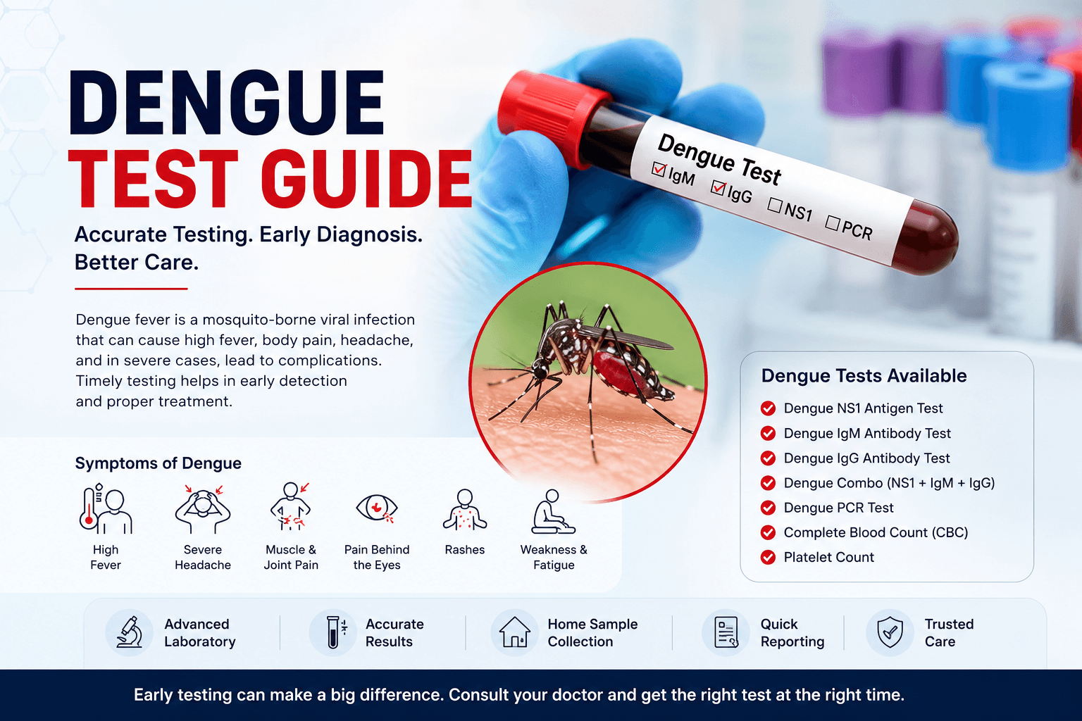 Dengue Test Guide: Symptoms, NS1, IgM, IgG, Platelet Count & When to Get Tested