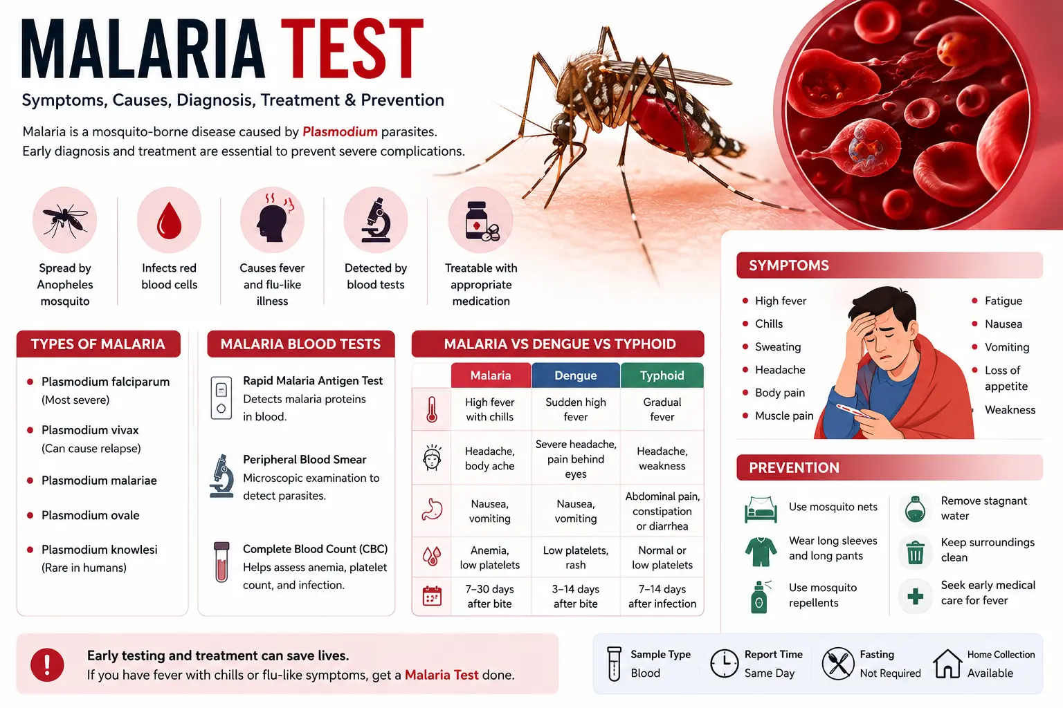Malaria Test Guide: Symptoms, Causes, Diagnosis, Treatment & Prevention