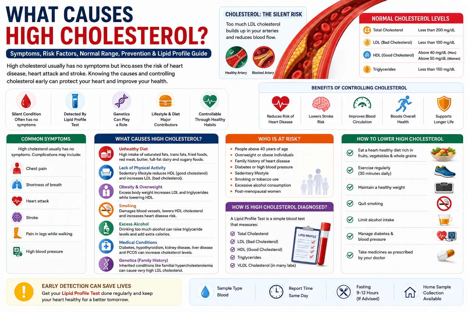 What Causes High Cholesterol? Symptoms, Risk Factors, Prevention & Lipid Profile Guide