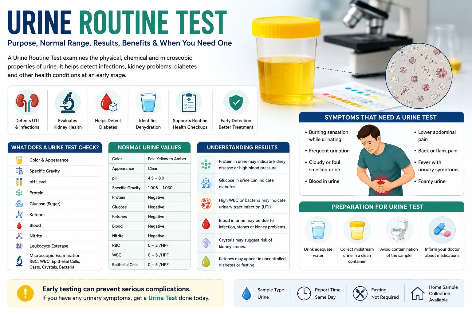 Urine Routine Test Guide: Normal Range, UTI, Kidney Health, Results & When You Need One